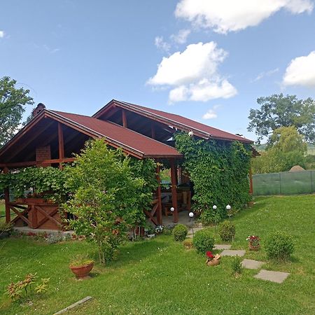 Narcisz B&B Corund  Exteriér fotografie