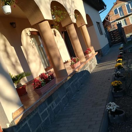 Narcisz B&B Corund  Exteriér fotografie