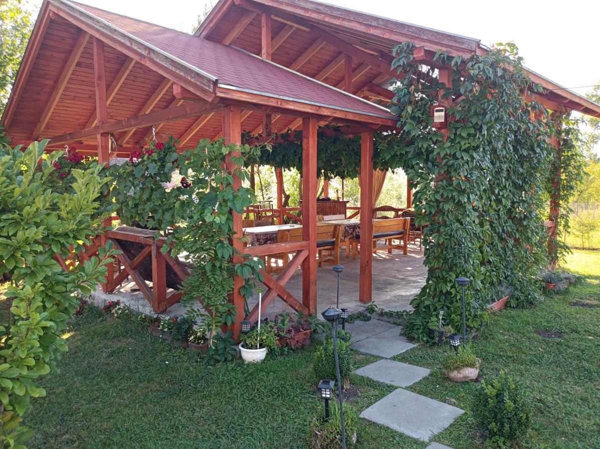 Narcisz B&B Corund  Exteriér fotografie