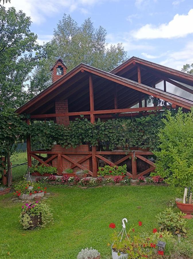 Narcisz B&B Corund  Exteriér fotografie