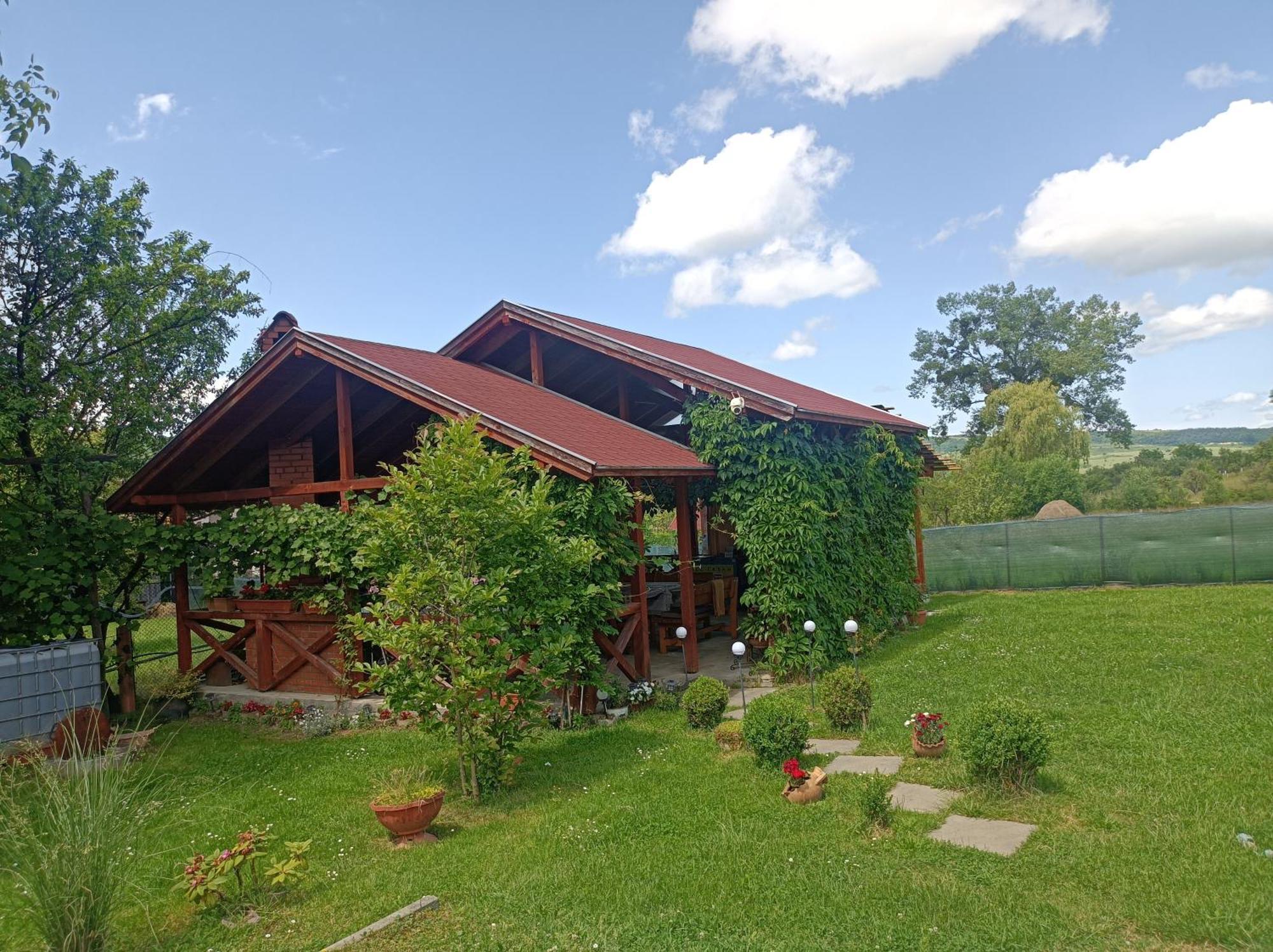 Narcisz B&B Corund  Exteriér fotografie