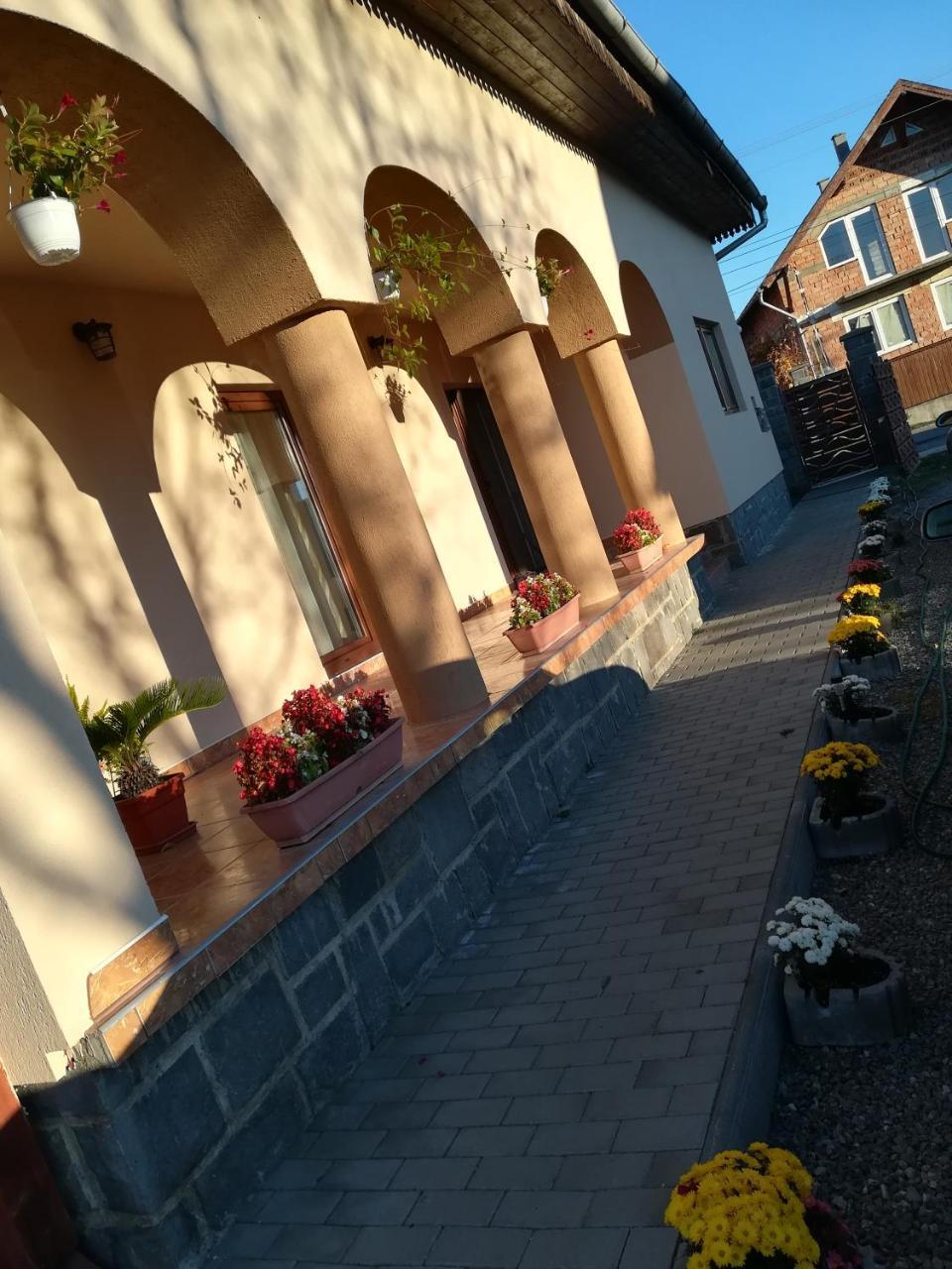 Narcisz B&B Corund  Exteriér fotografie