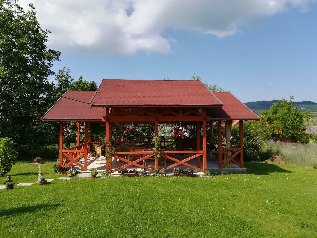 Narcisz B&B Corund  Exteriér fotografie