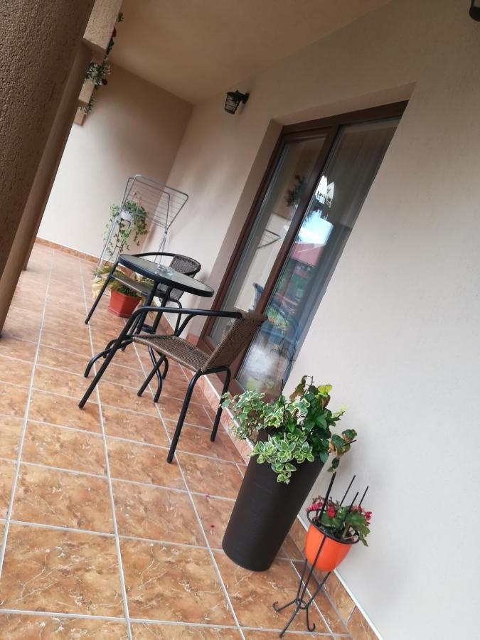 Narcisz B&B Corund  Exteriér fotografie